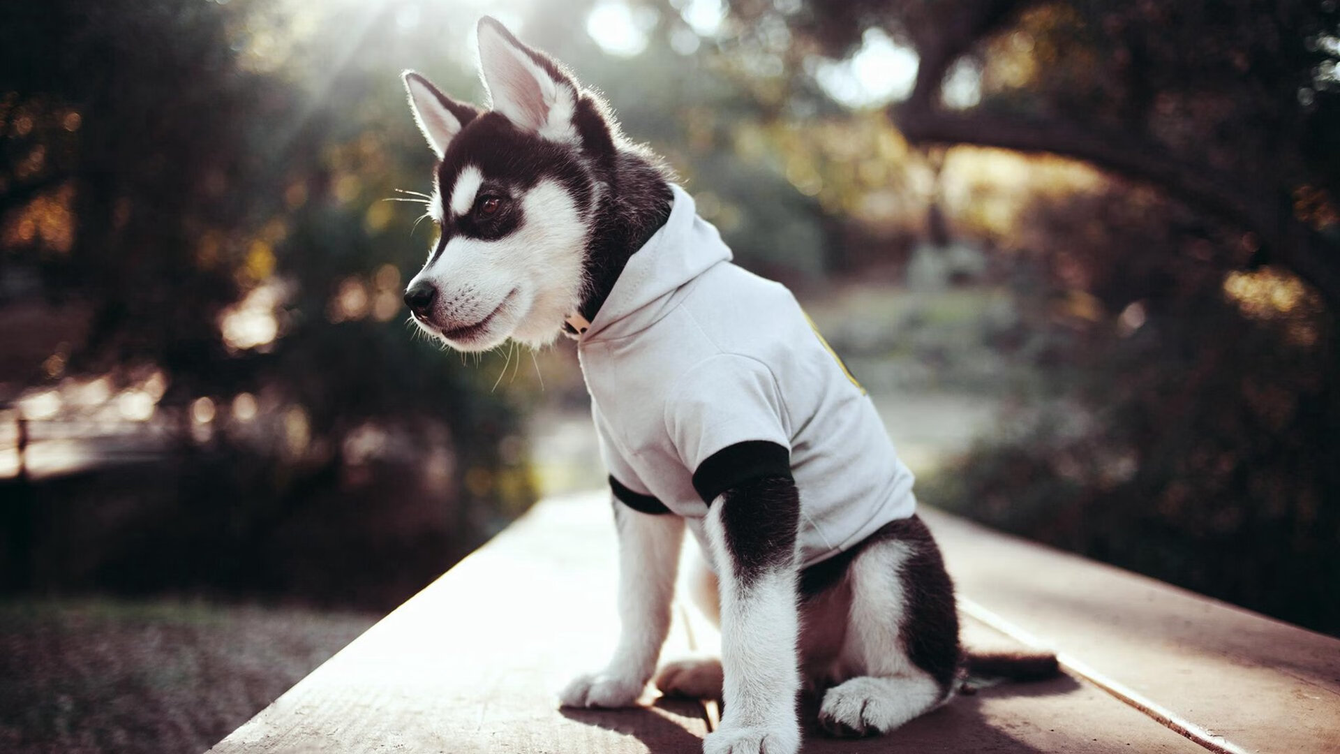 西甲国家德比之夜，马克西的手术刀为何能精准切开百年恩怨？