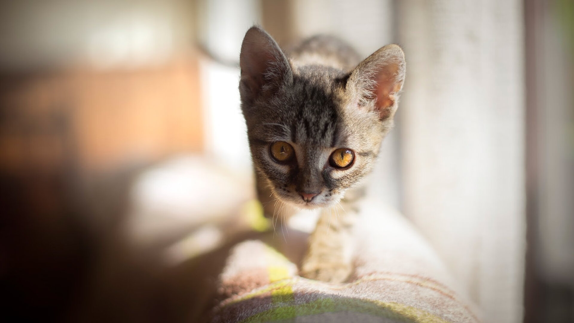 皇马击溃尼斯，阿什拉夫定义胜利，一位边路核弹如何重新书写现代边后卫的法则