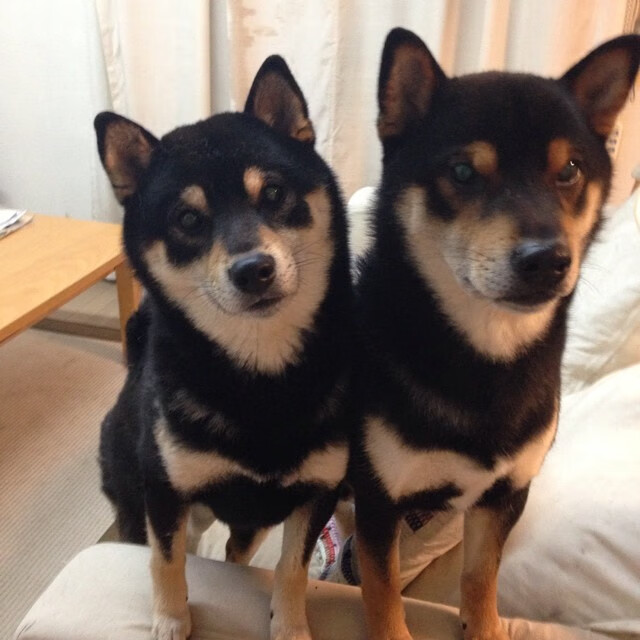 无声革命，加纳用节奏匕首肢解瑞典战车的焦灼六十分钟