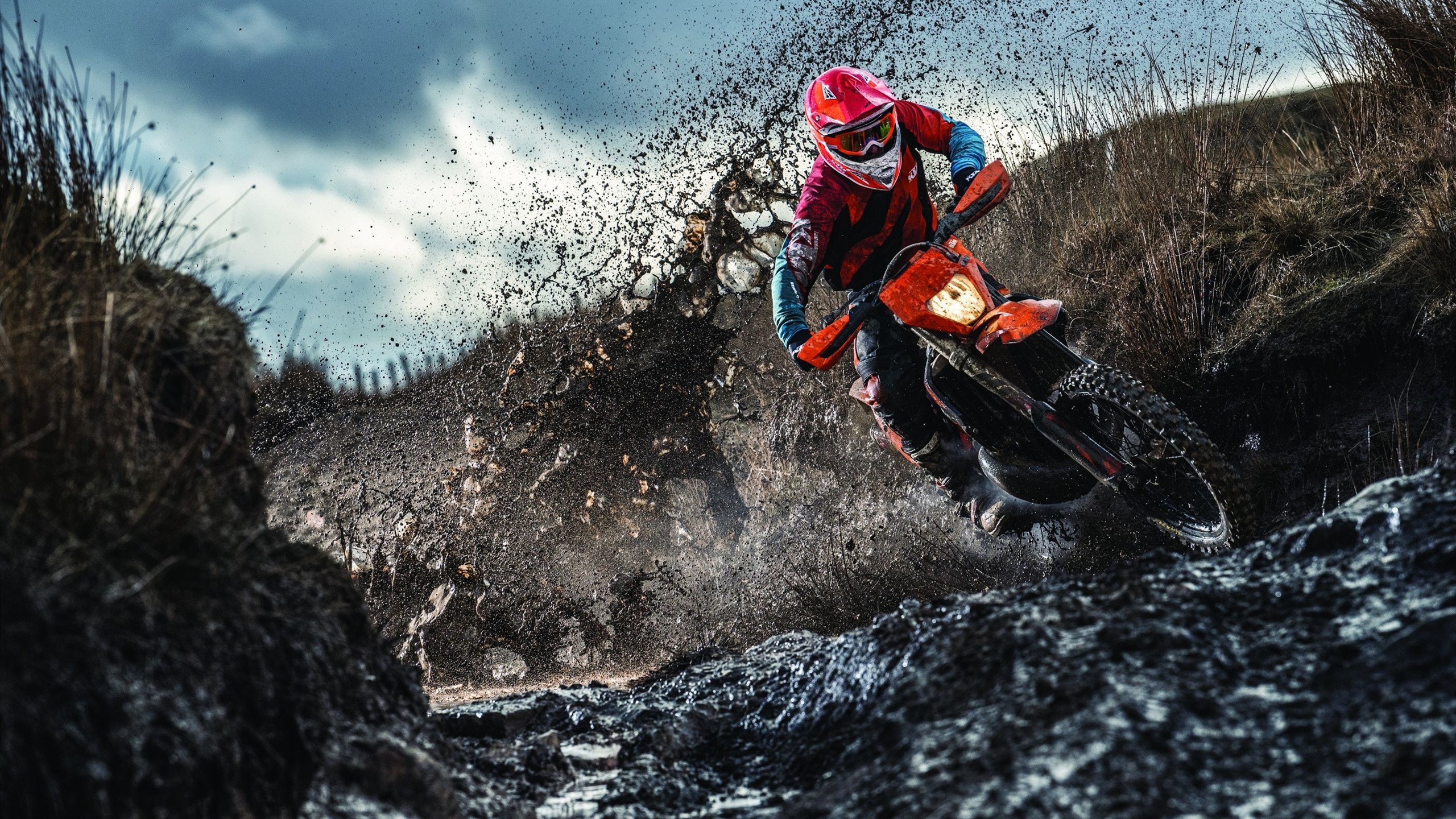 冠军基因的平行叙事,从上海滩的尘埃落定,到奥兰多的王权初显