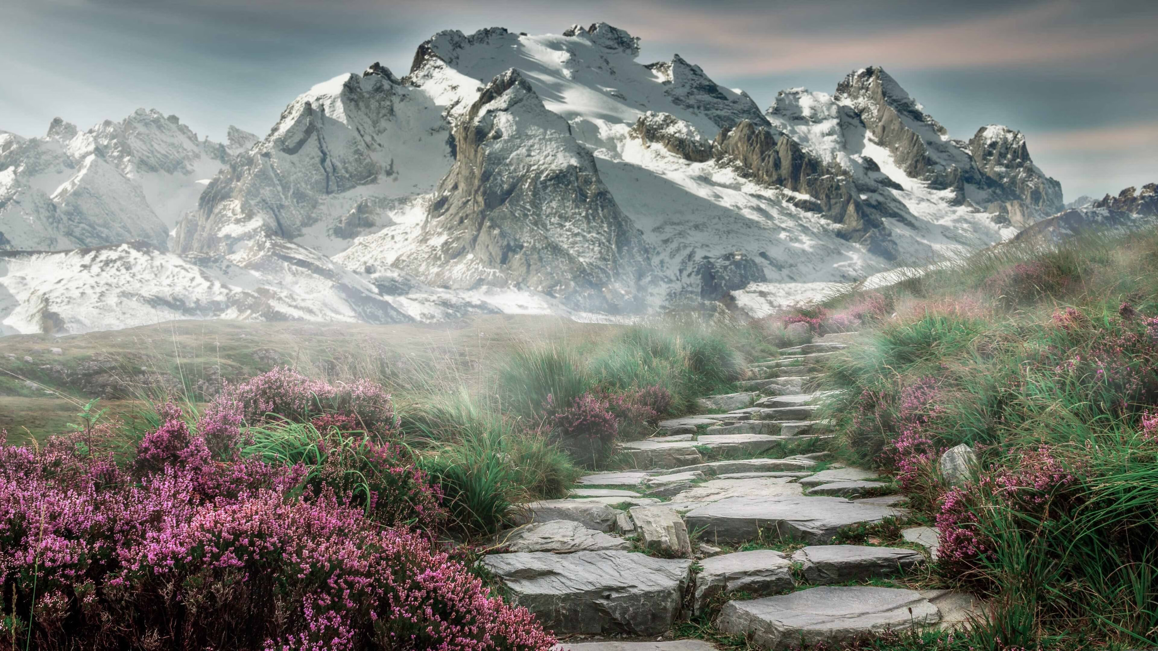 从板凳席到聚光灯，戈麦斯抢七夜的唯一性救赎