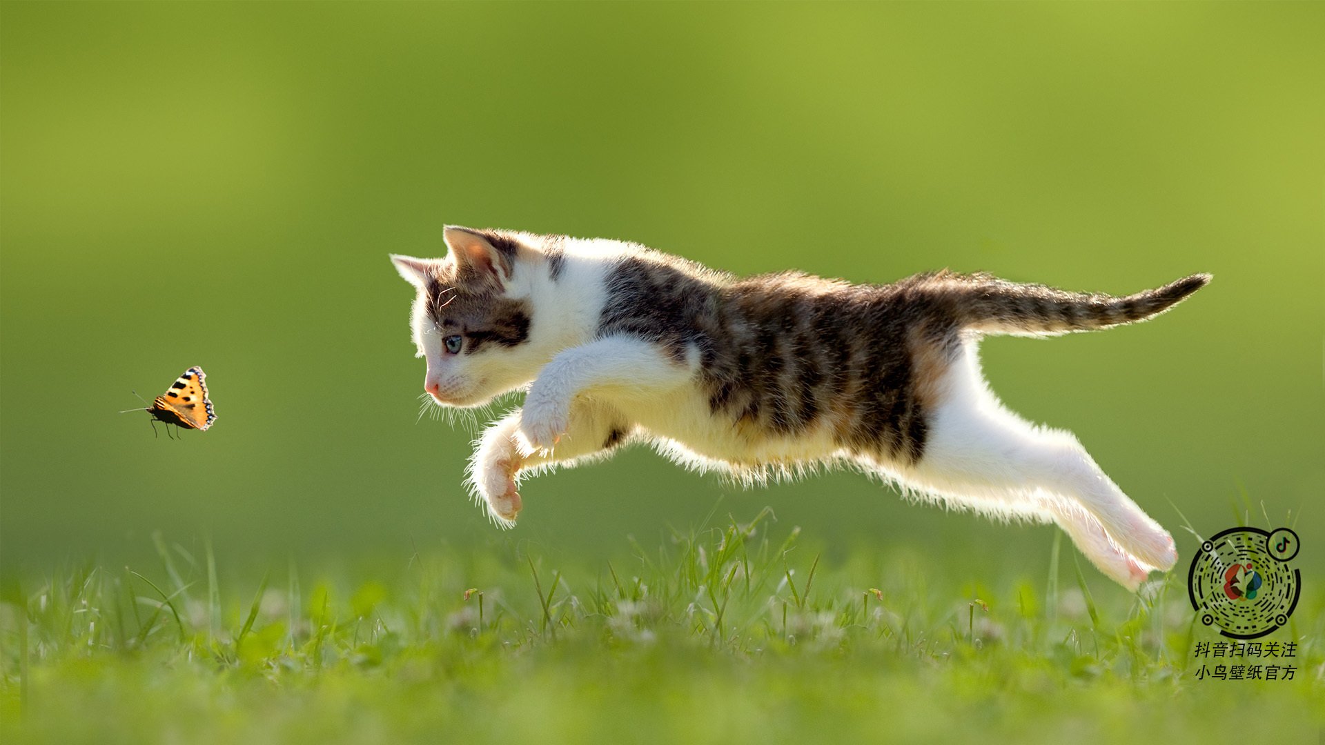 楚阿梅尼的篮球交响诗，当足球大脑主宰NBA季后赛之夜