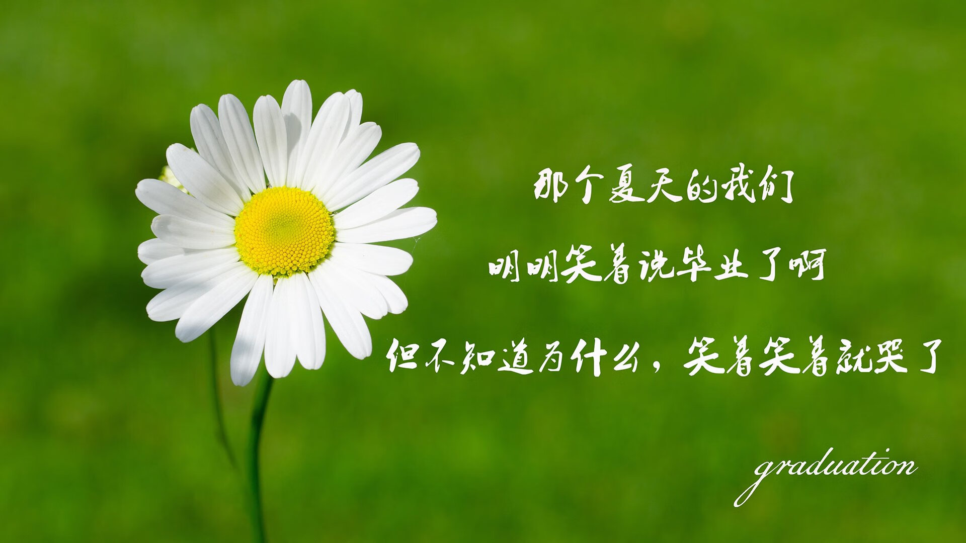 唯一之战，2026世界杯A组，哥斯达黎加横扫伊朗，阿方索·戴维斯的临场魔法如何改写命运