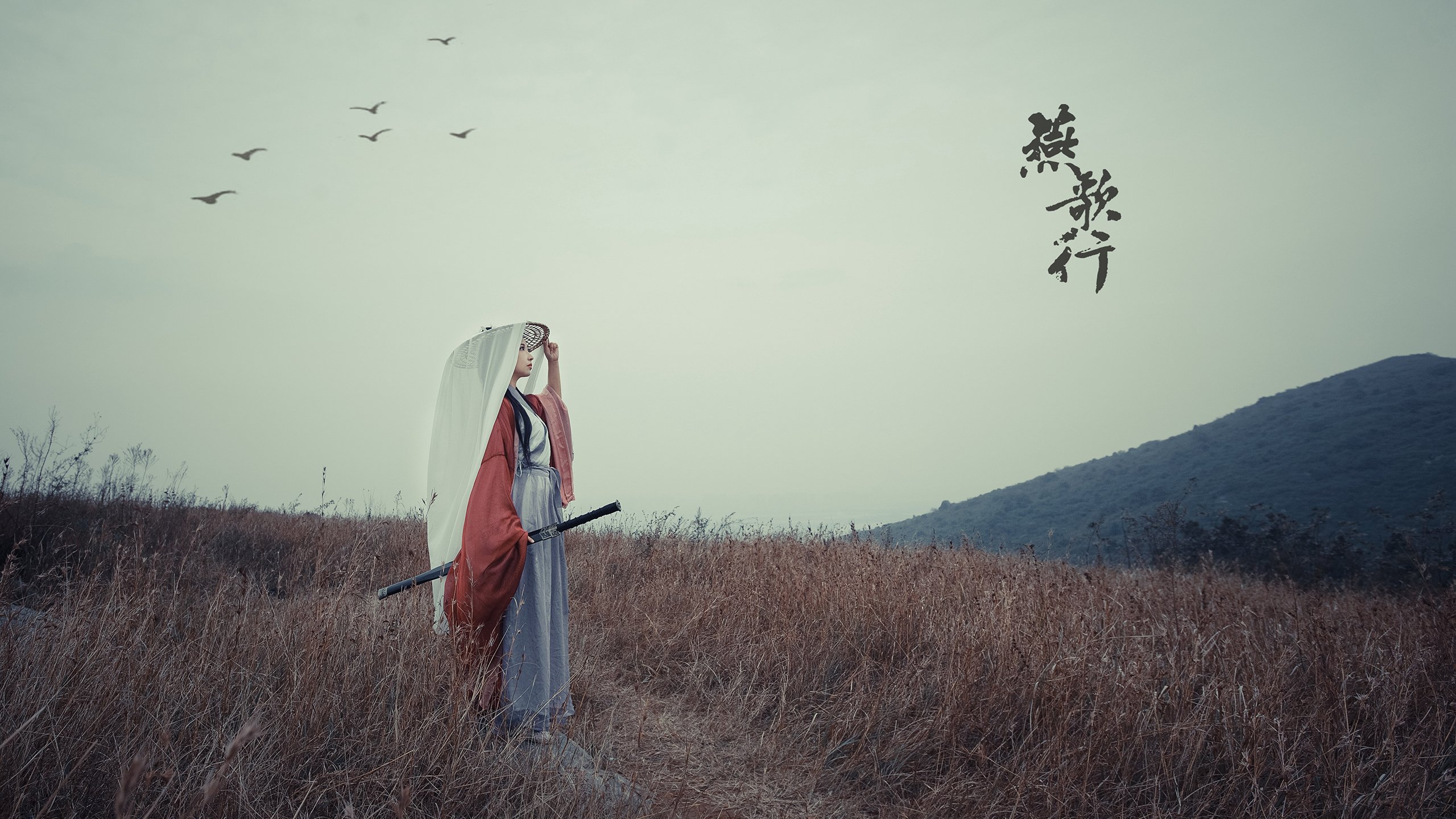 以下是为您构思的文章标题及正文